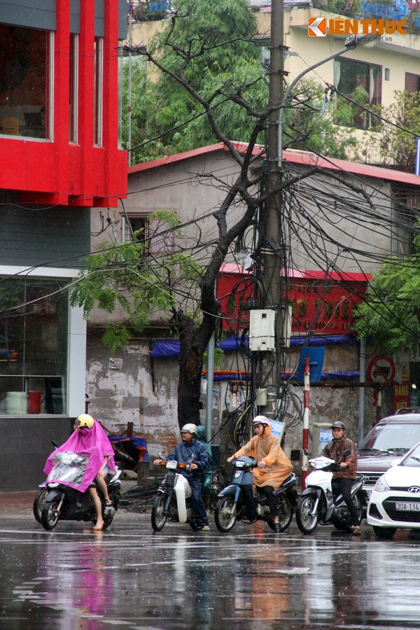 Loat cay kho cho do, de nguoi Ha Noi trong mua-Hinh-8